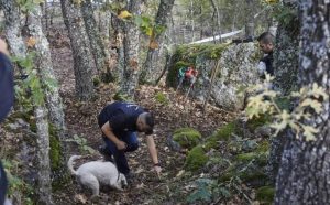 Junco de las columnas de Melkart en la búsqueda de restos biologicos, junto a su guía Israel Herrero 